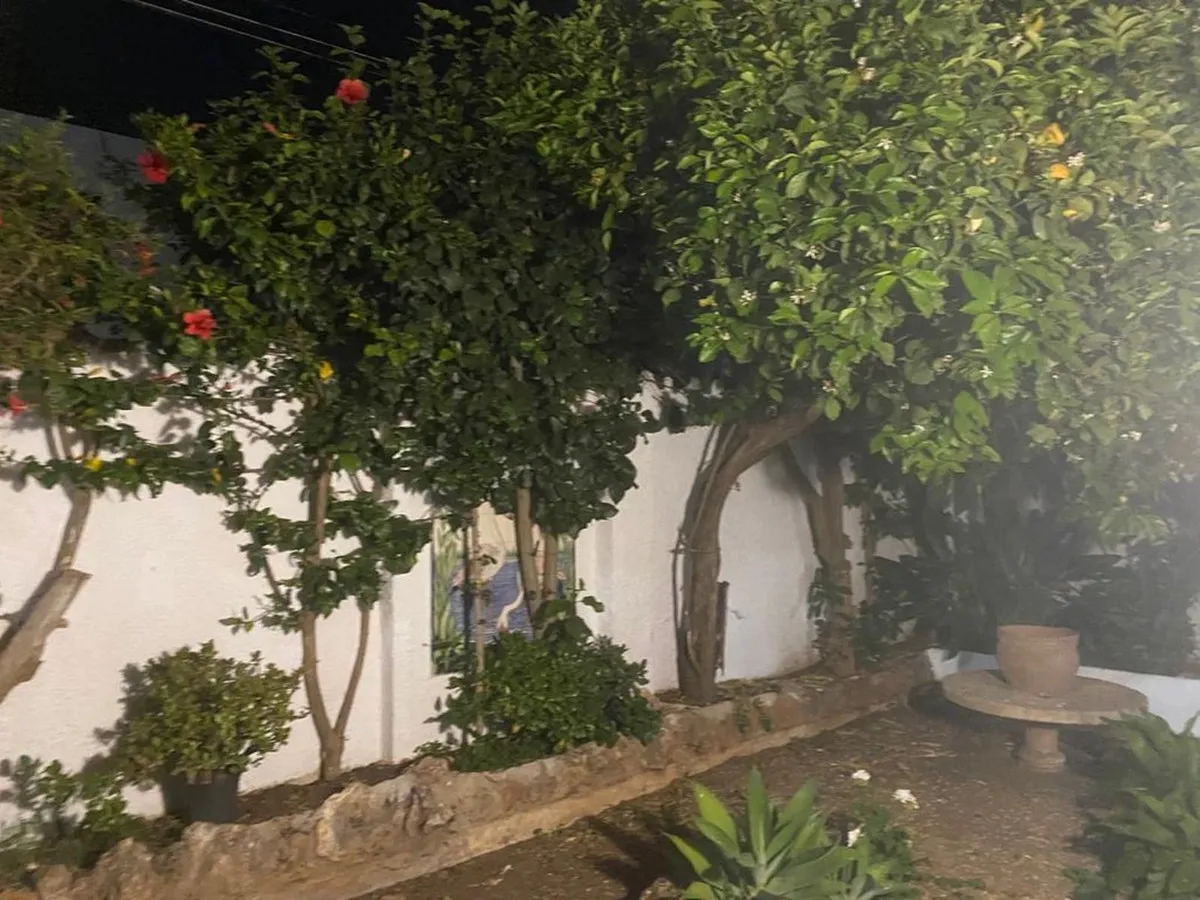 16805fff-33c4-4c32-923e-24e9265b9f0e