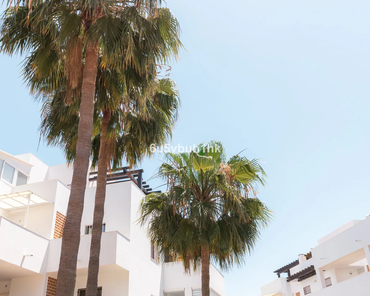 f65b7c4c-6056-4388-96b1-0e3a674aa4a1