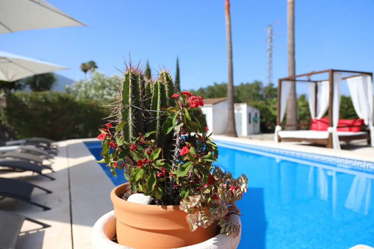 4f64ed29-85f7-45ef-933e-86b891ef96b4