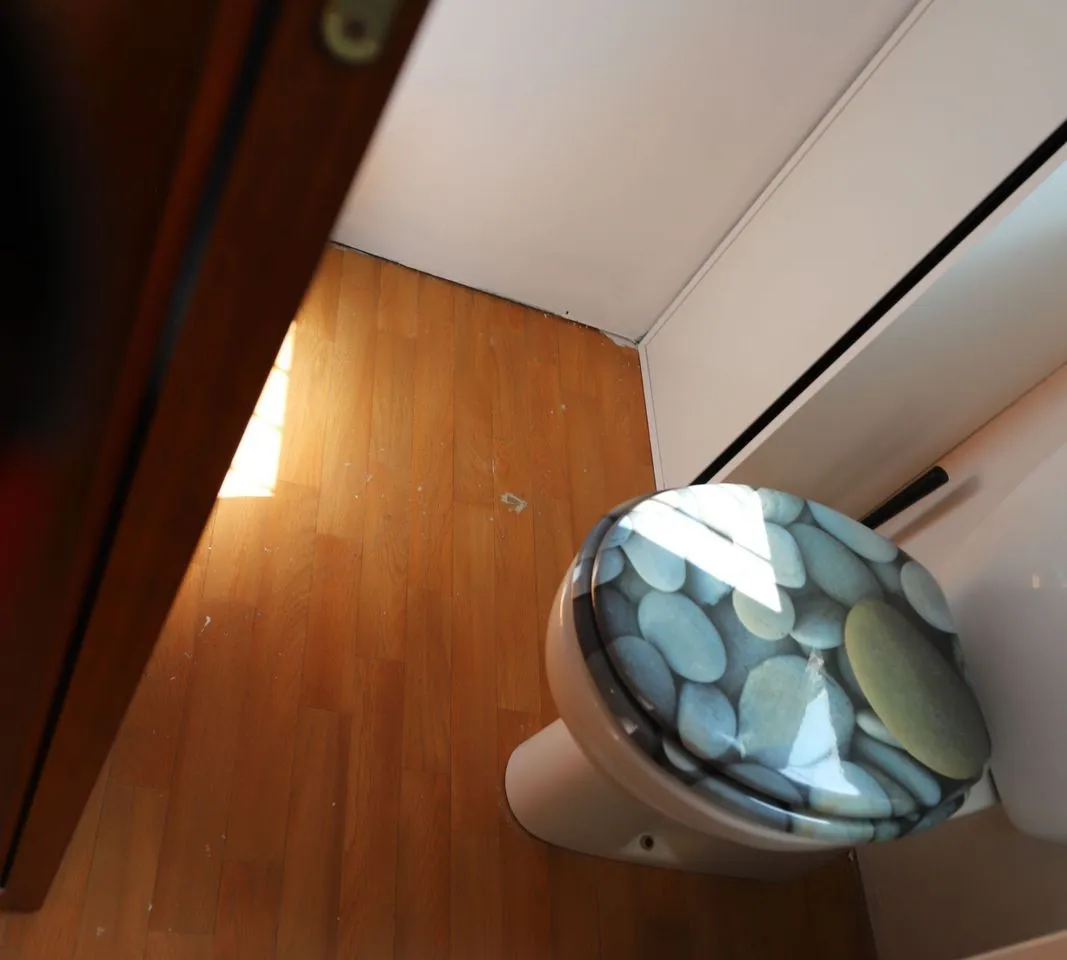 bf99b03a-3979-40f9-a7a4-f0ef06a0ee2c