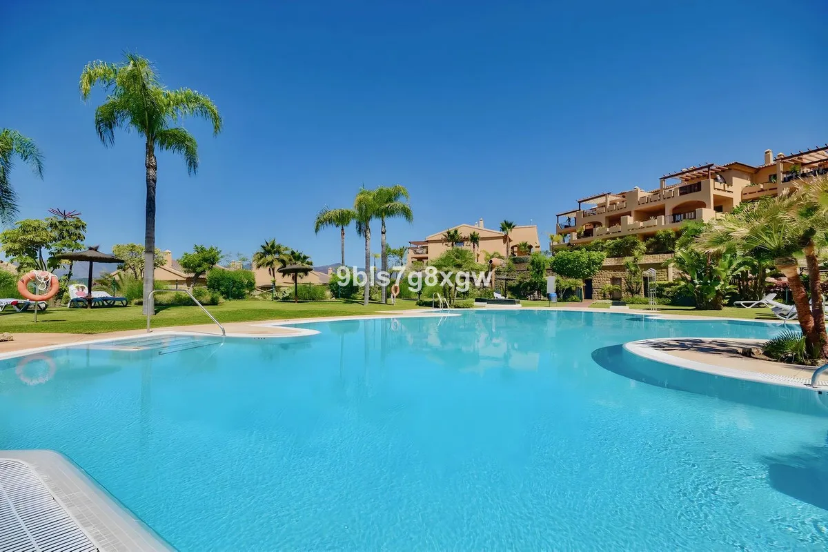 09781bcc-cda3-4f92-ab43-8dc306243706