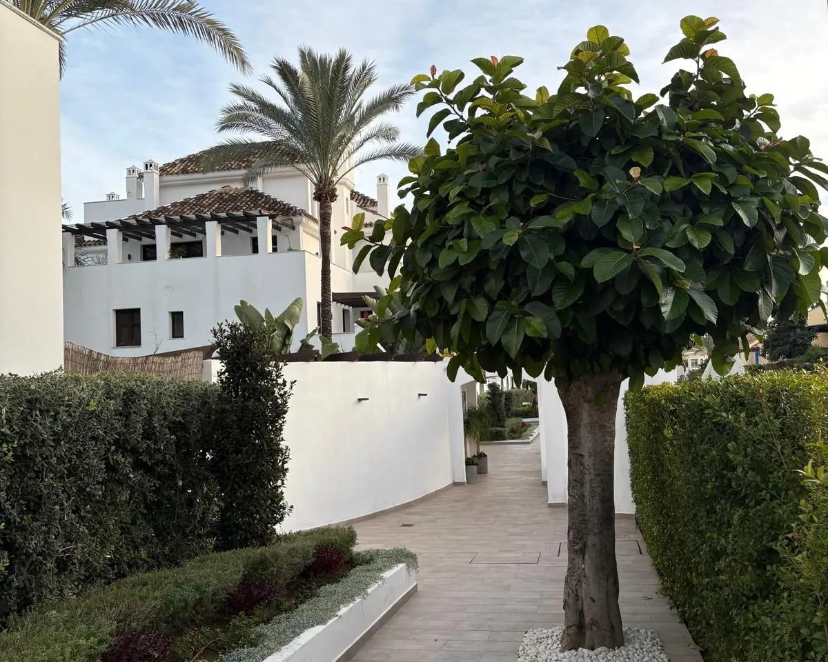 d36b690a-53fe-4fed-8679-b257c89410a4