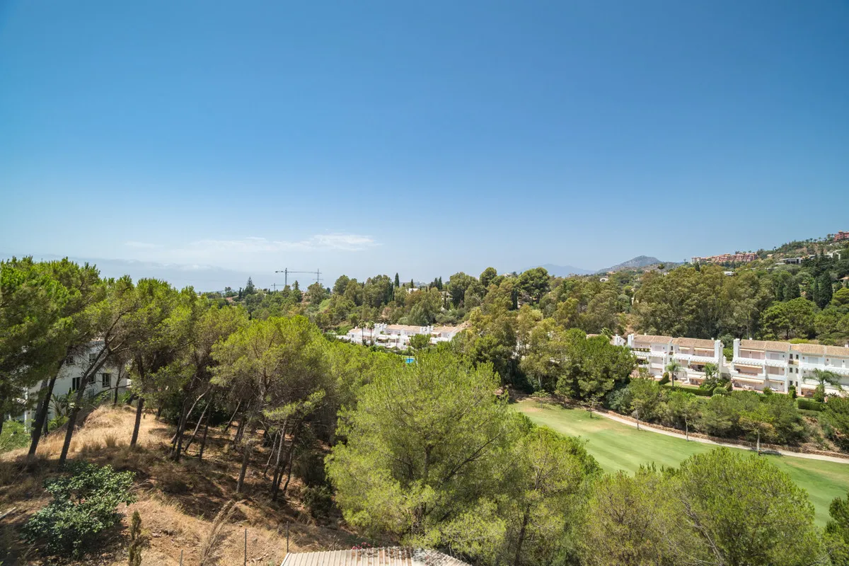 d896a2fc-659b-43d1-80d6-3a3773bef331