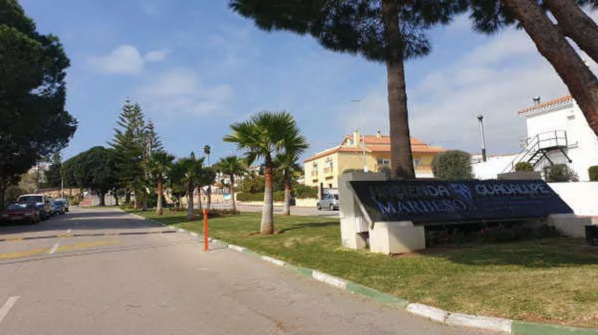 205775a9-bba7-4d89-9637-af6ed66e6f1c