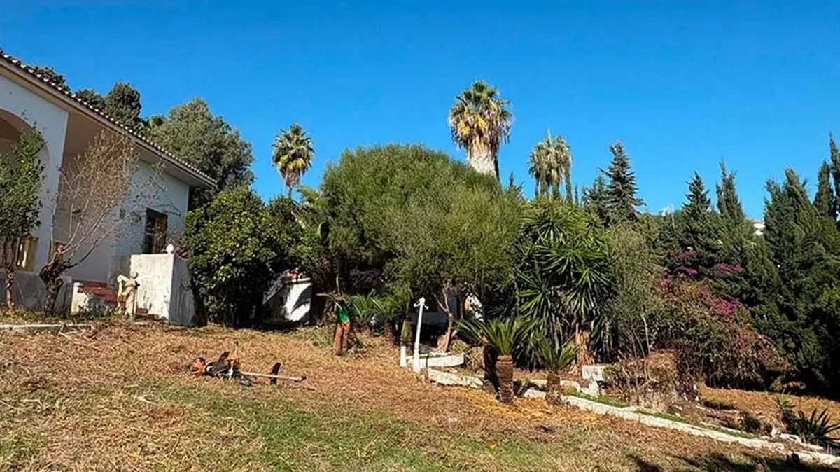 255cb469-b3de-4f6d-9bb7-cc9d2a040cc4