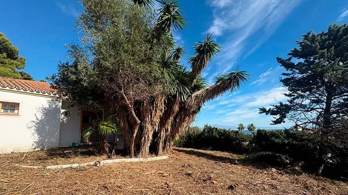 7bdec651-38e9-42df-931a-8d7acdc4e322