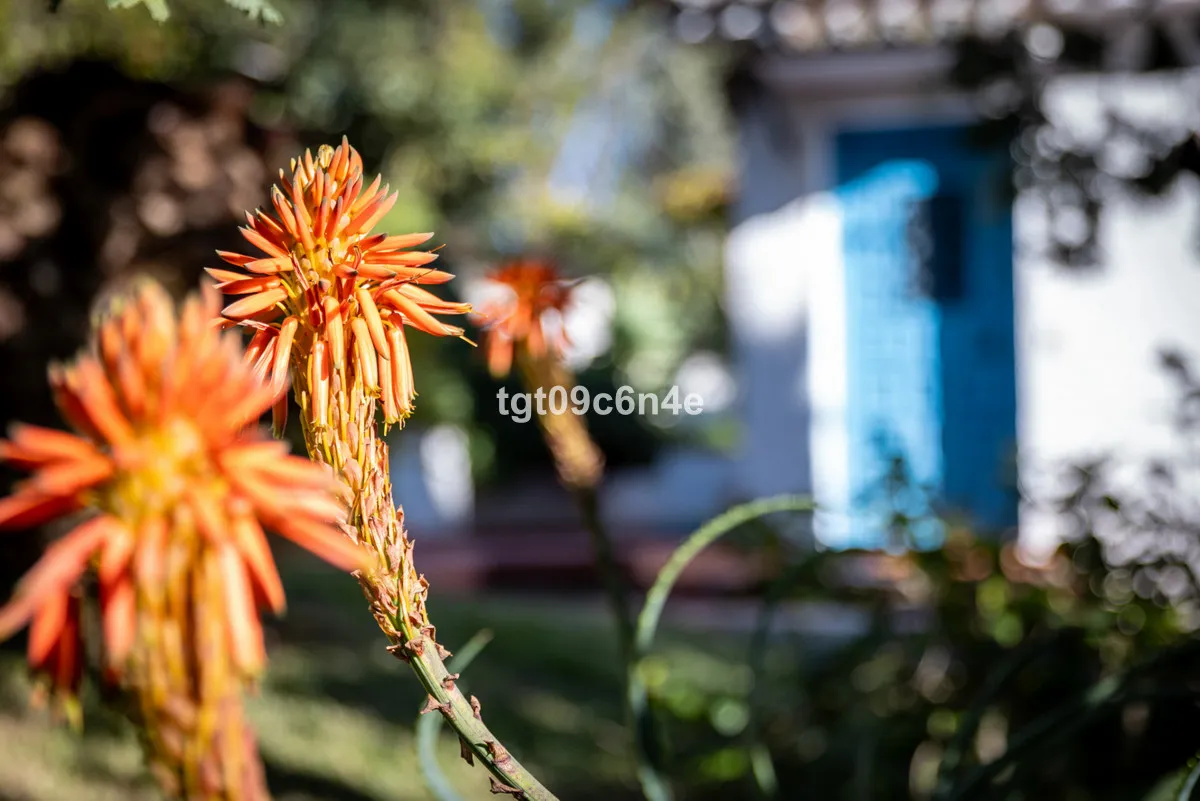 4069ee90-0d7b-48a4-a1e5-84a3cf5dd3af