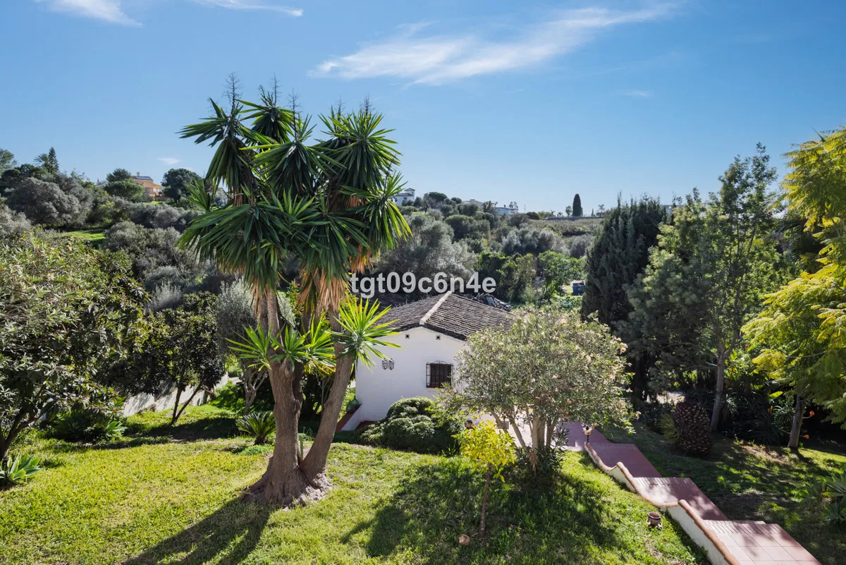 f5b43dbf-85b8-46f3-a333-74d71bddc7a9