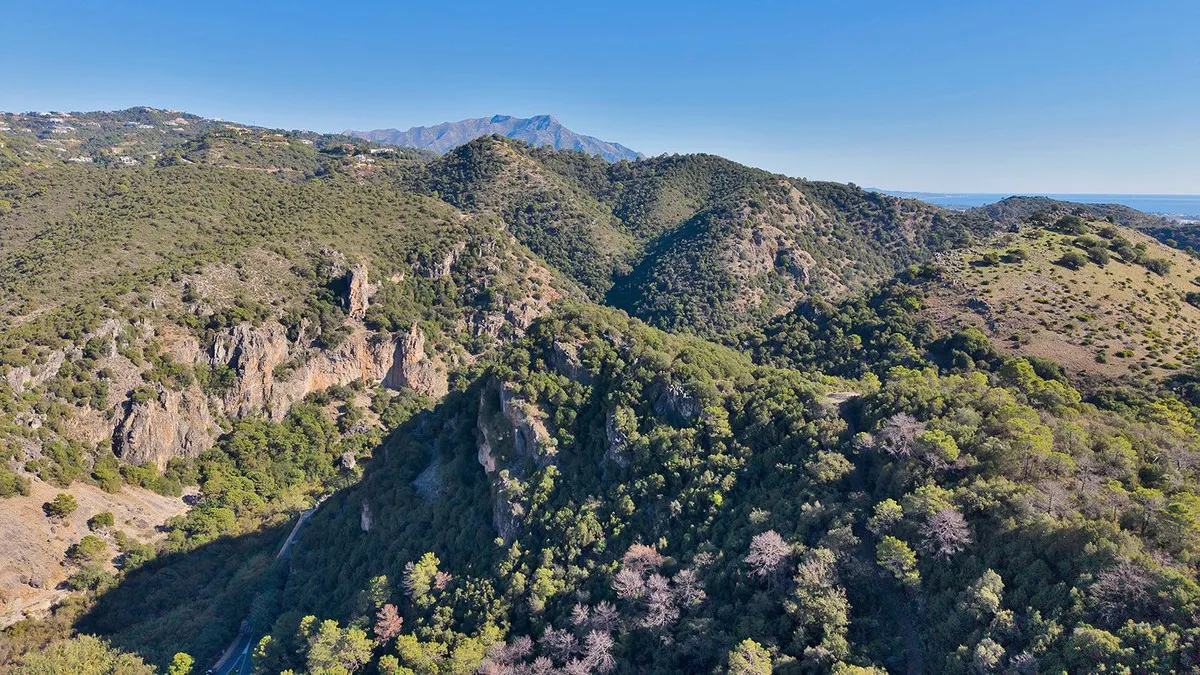 636df587-f8b9-4403-98b5-d486b346f267