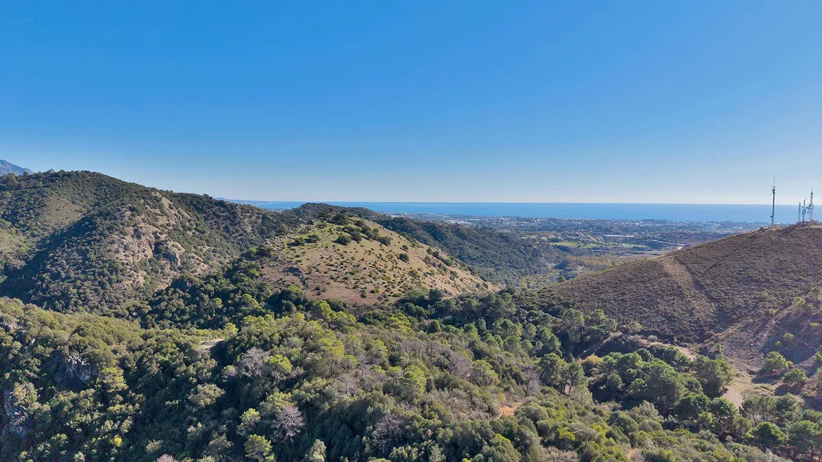 a97beeb2-b0af-45c5-a01b-85daa81b8f93