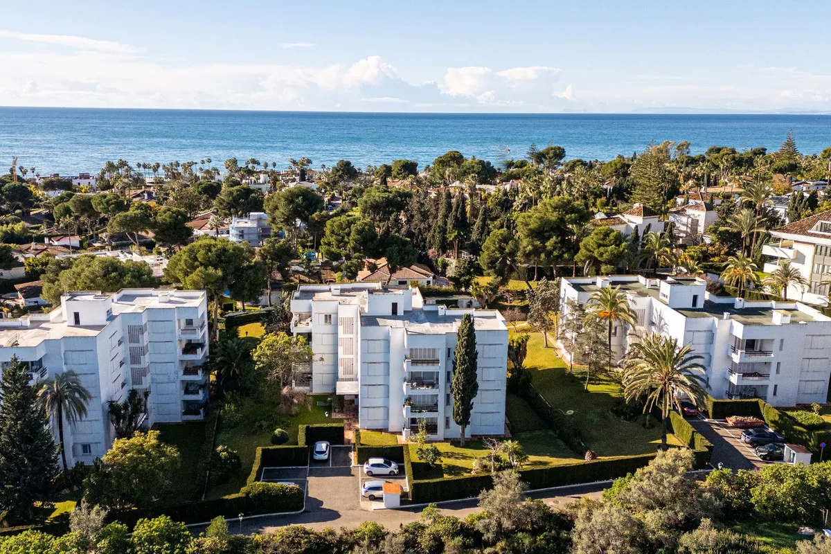 d5041a51-0689-46b7-8422-b7591e2a04b5