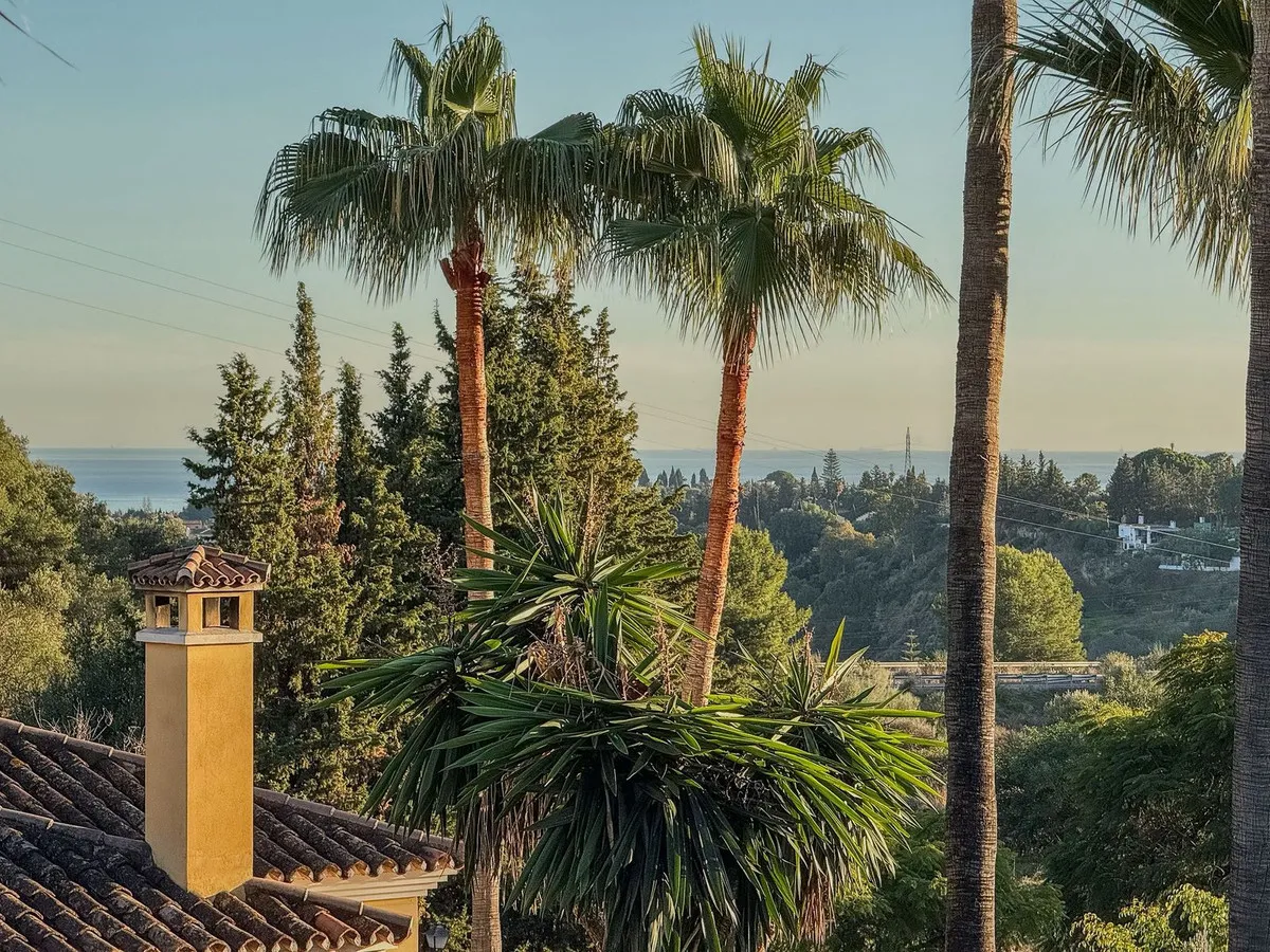 e2d2e68d-9487-431a-8fc8-4f4a80ce900a