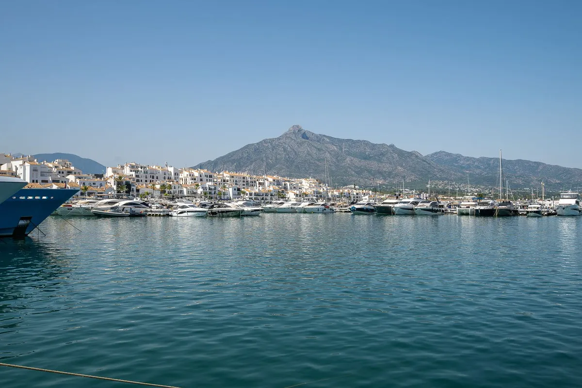 d175566a-70b9-4669-bd4d-cbd03d425a84