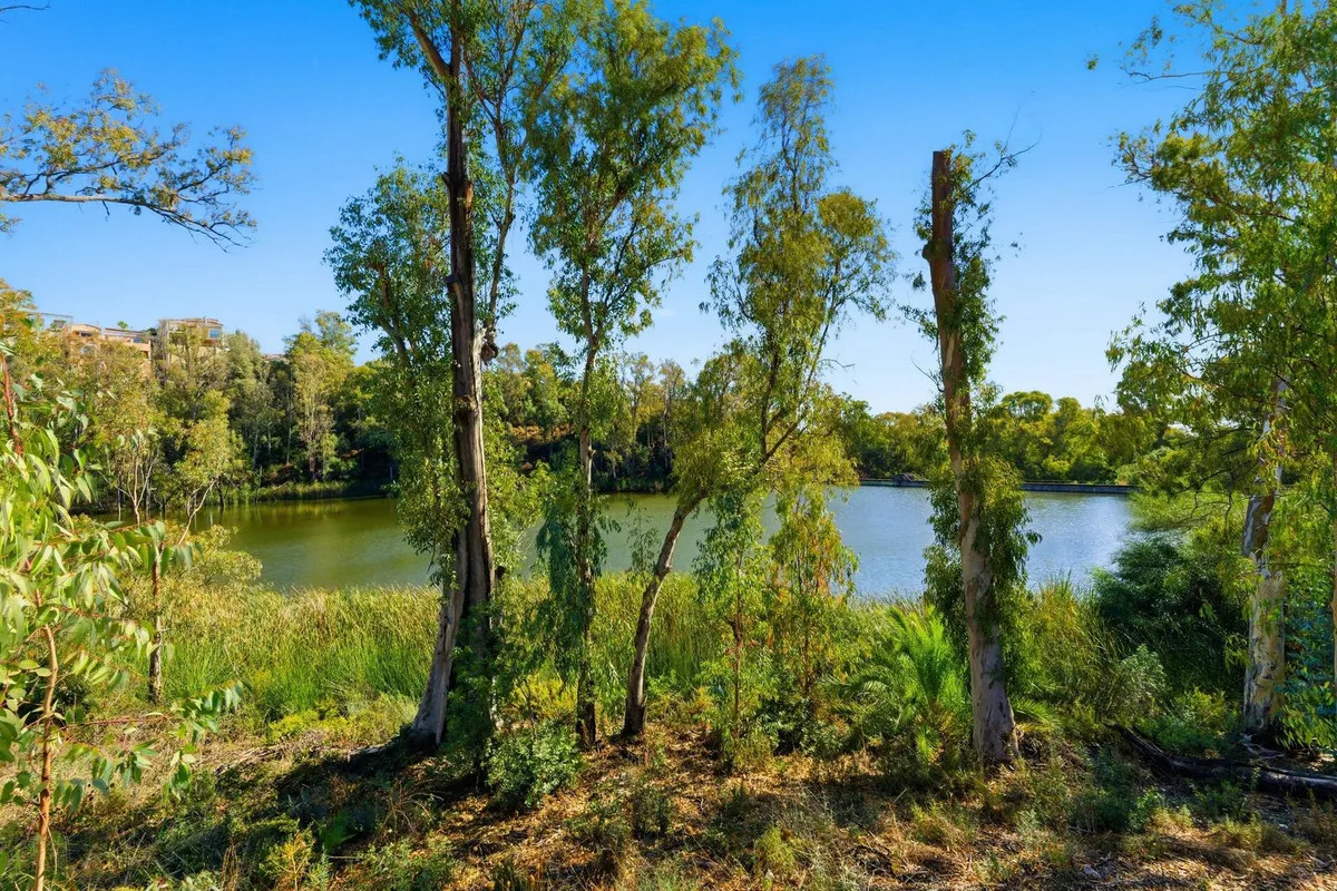 df7b23cf-df3a-4037-bd5c-7a4ca0f0b1b6