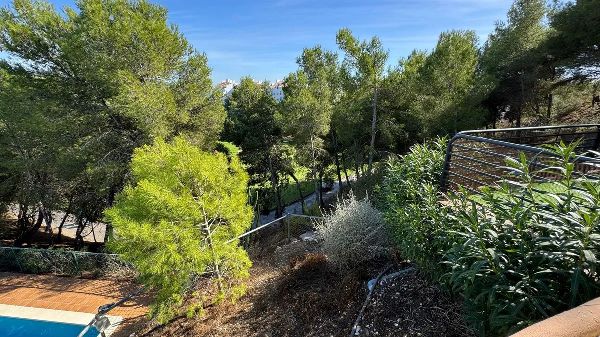 40323608-a5ad-4396-a85a-d59588bcc619