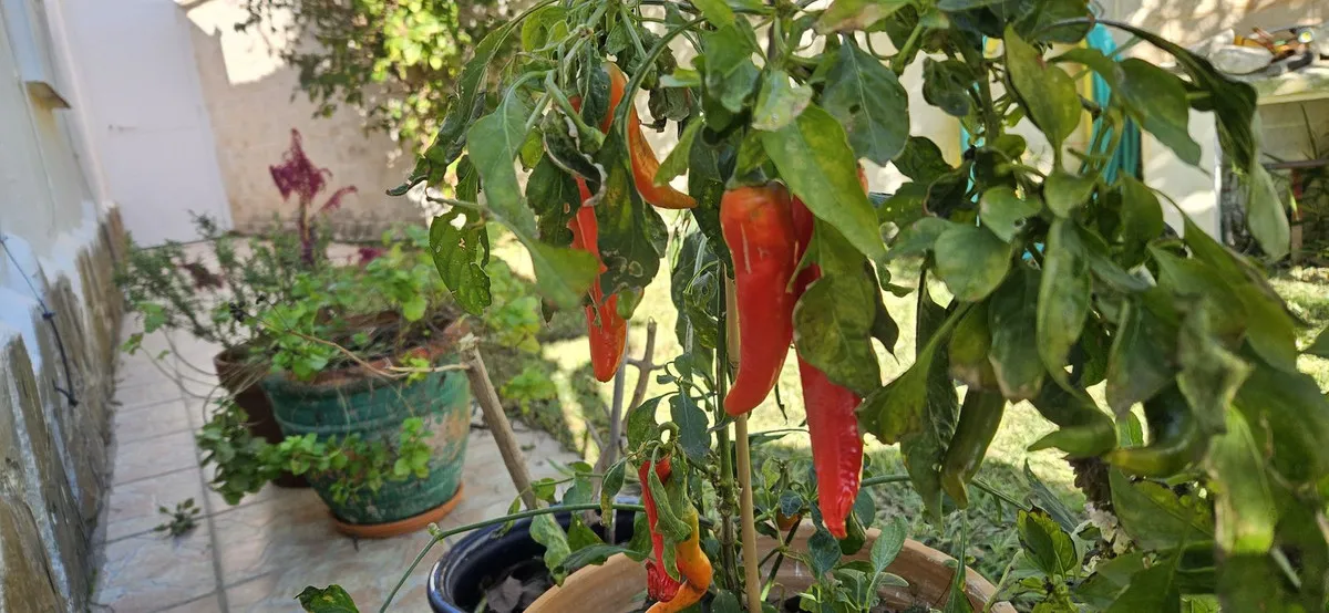 18234308-169e-4462-bee2-966f7243579f