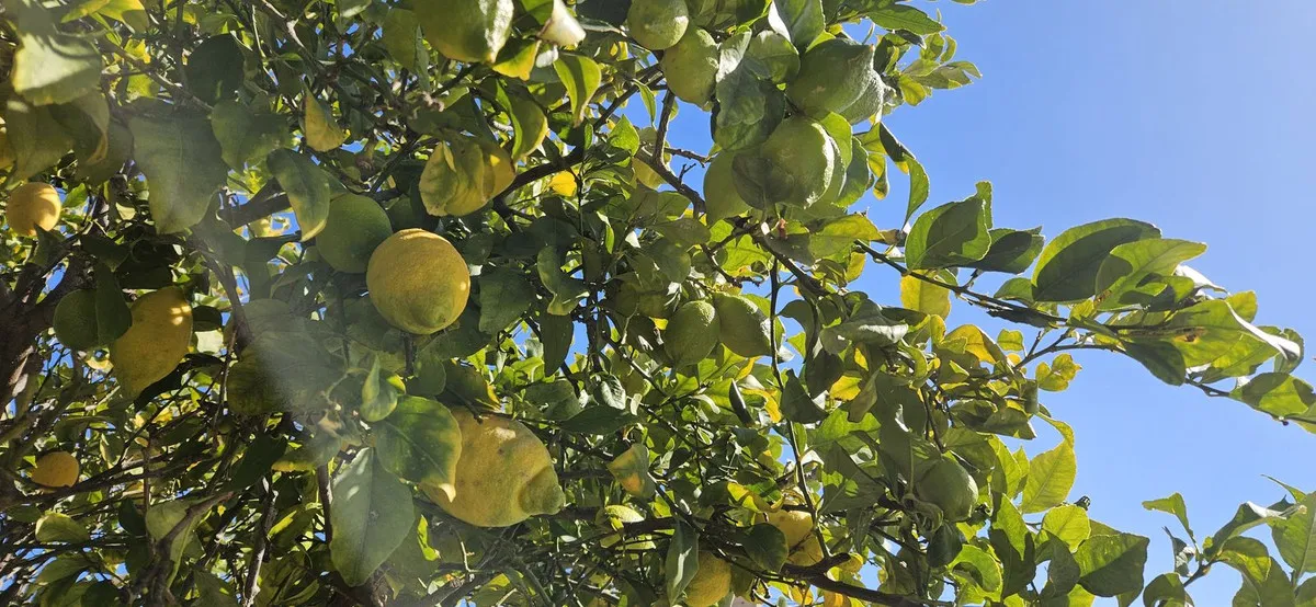 3bf3fe39-9851-404f-88b9-fb10fc8a7ee2