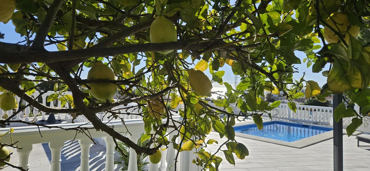 731219e2-fdab-40ac-8b51-f1175016d575