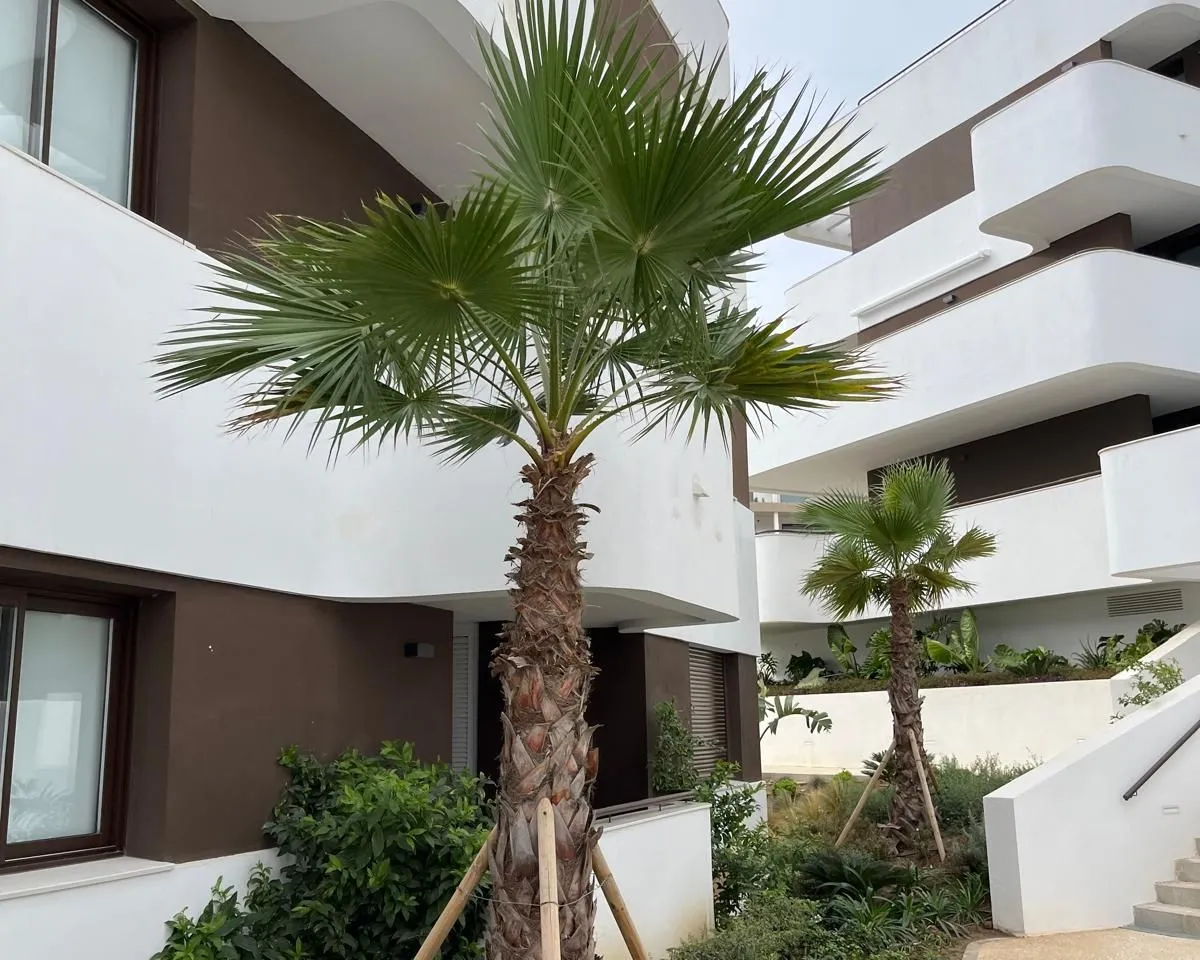 40a31456-7bbe-4ca9-8c8d-84496e53bd36