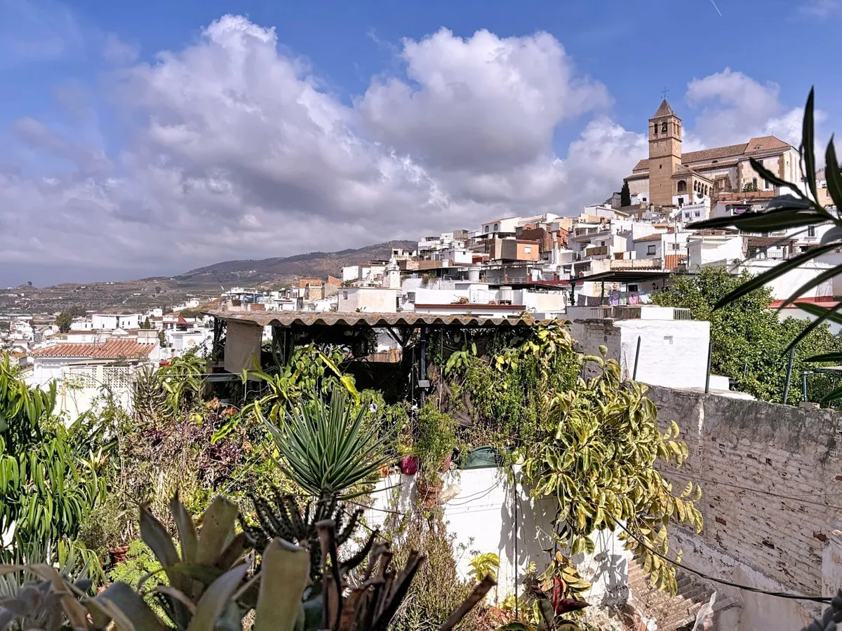 0e20338f-20f4-4422-83f7-ff865134a586