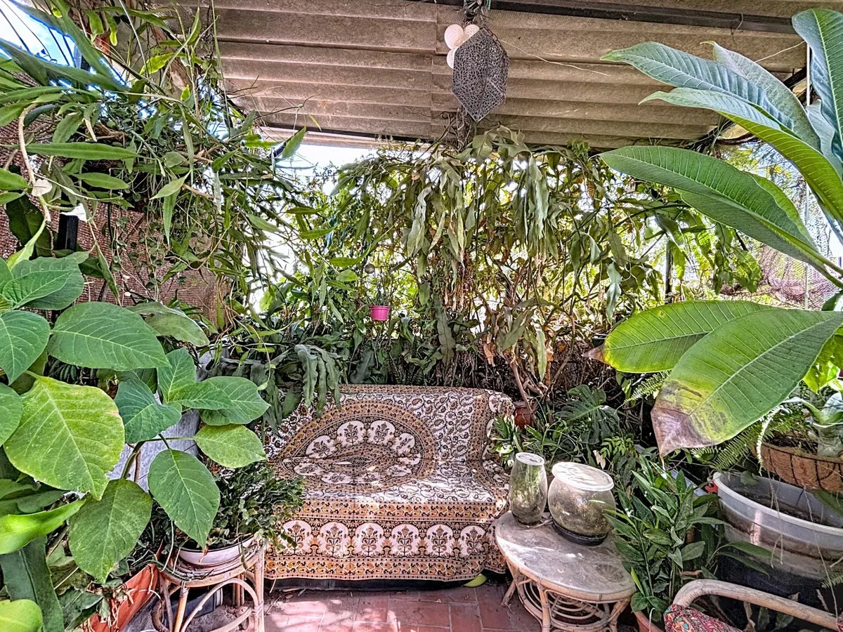 8bba009f-cc0f-40ff-b5e7-8566a26ea387