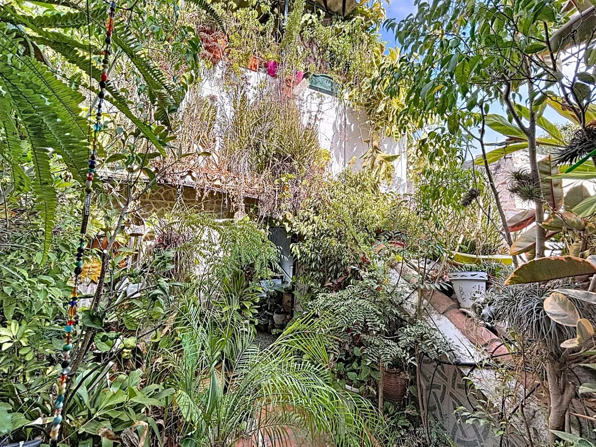 cd796a03-cd57-401c-9b99-f47e3a193a2c