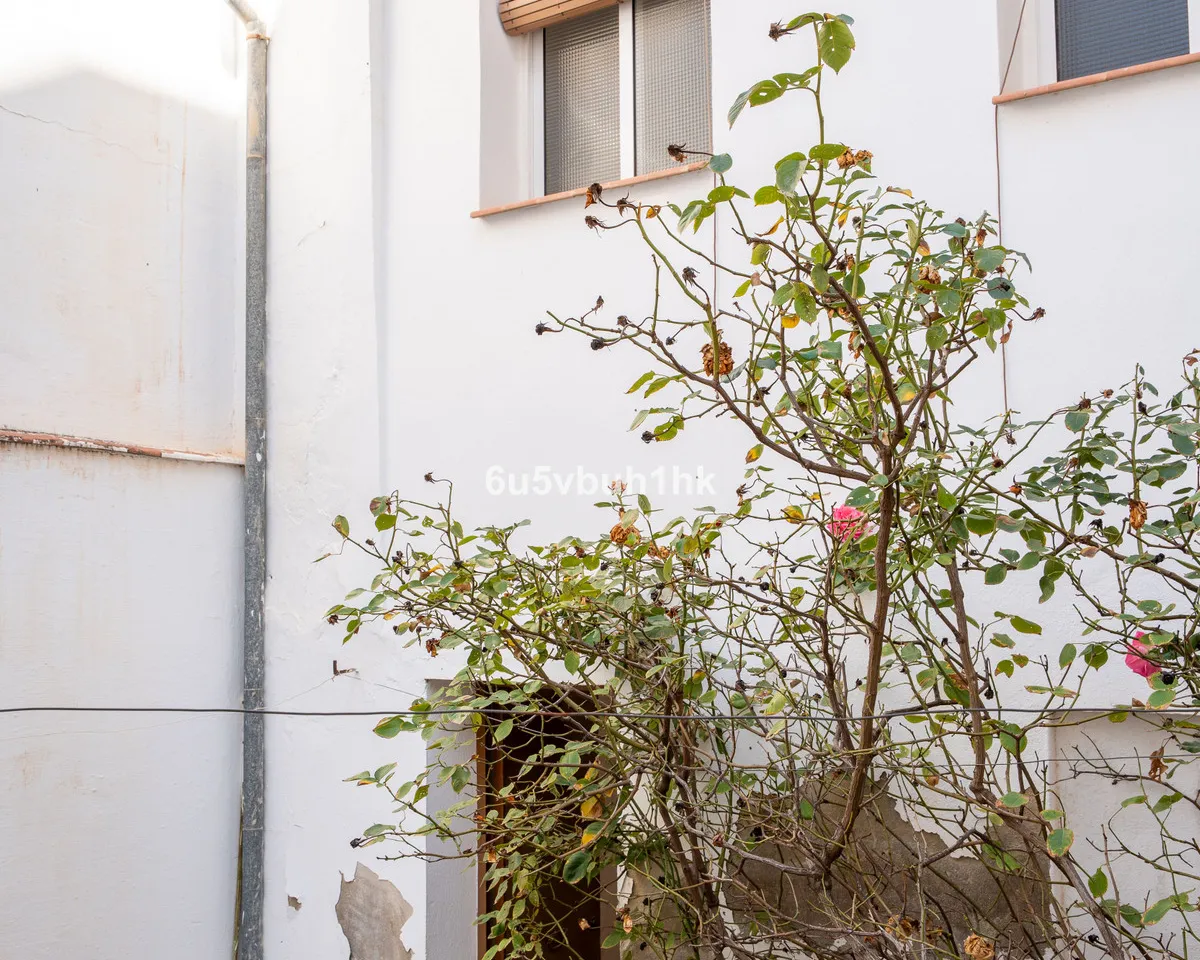 781ed66f-6d35-4441-b8d0-c221034809b0