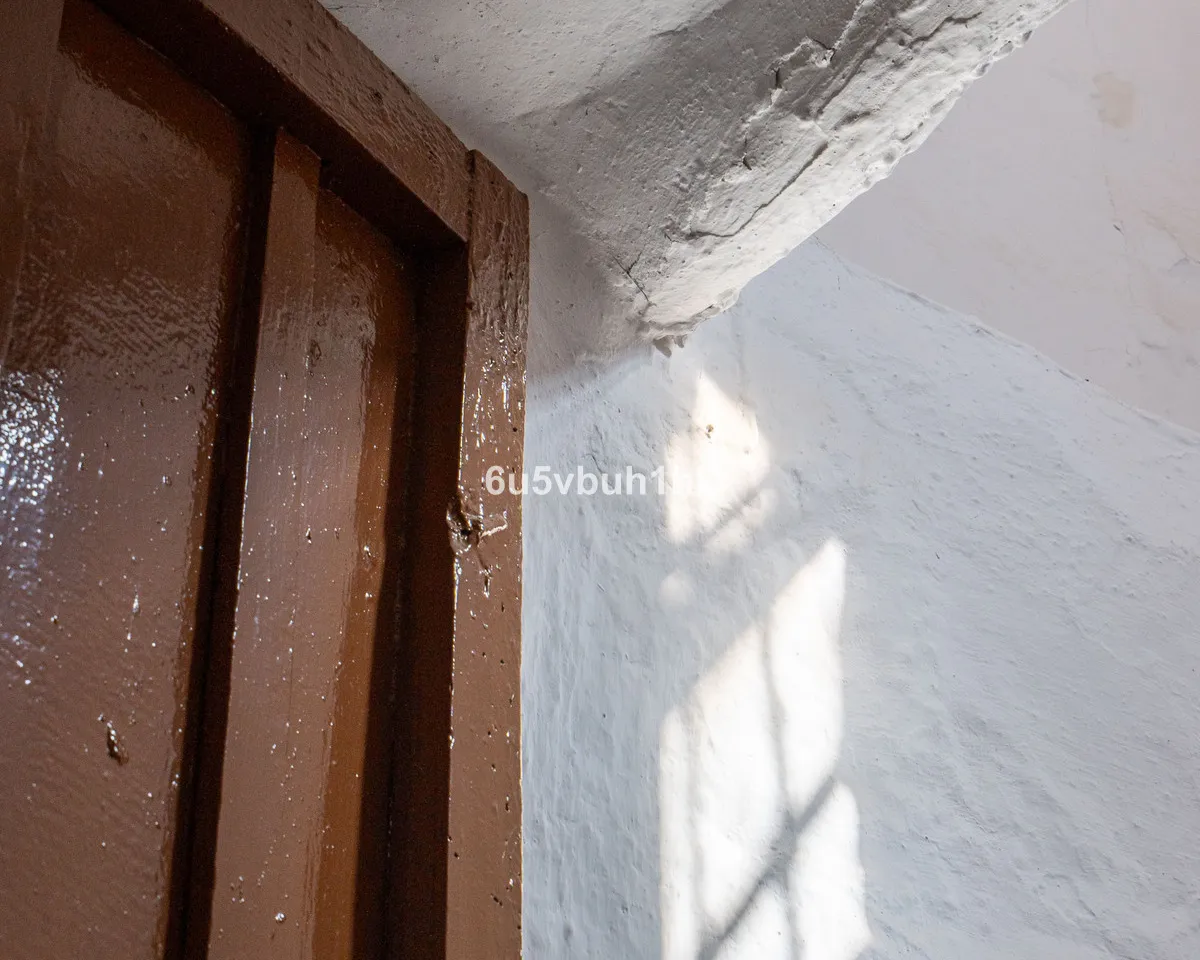 854a577a-2c83-4e26-9d6b-7b429a07edd1