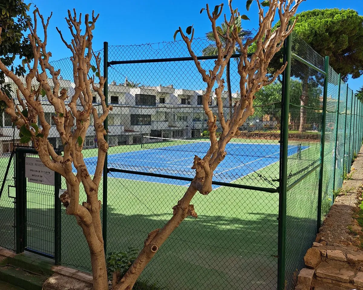 36d242c5-caf0-4aec-a309-82e096c736d7