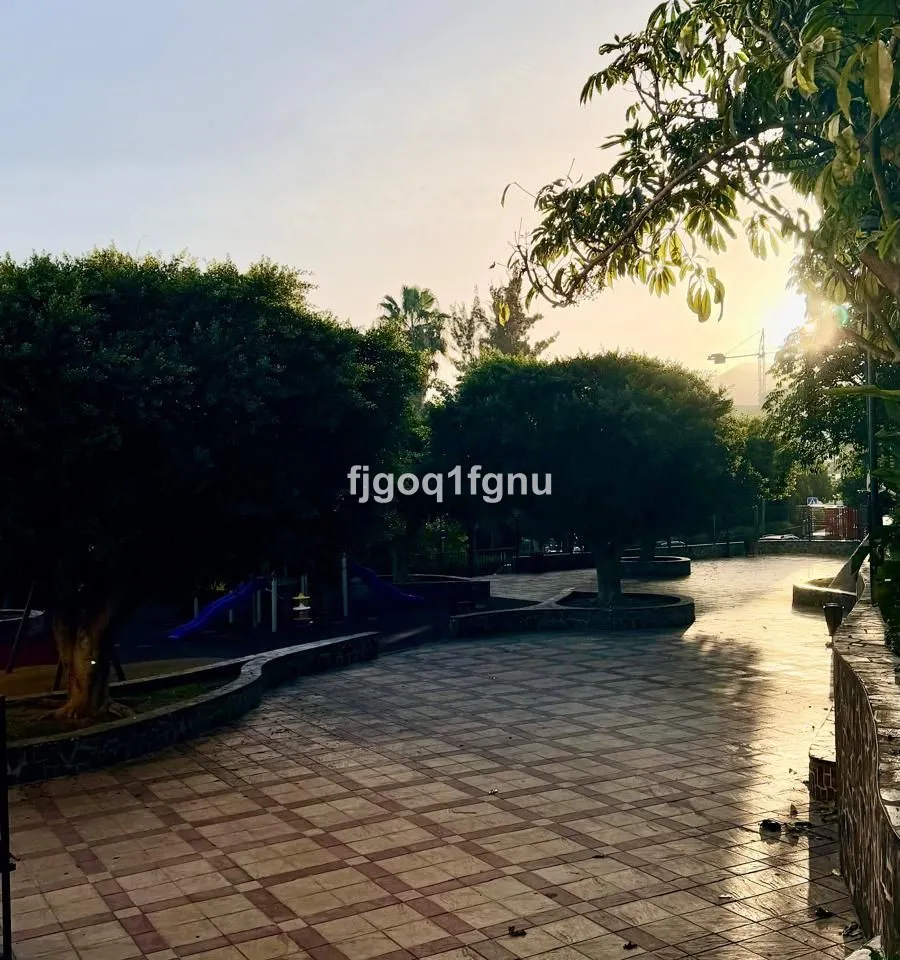 538d7d86-e7ad-46e9-aef4-3bf959b5eae0