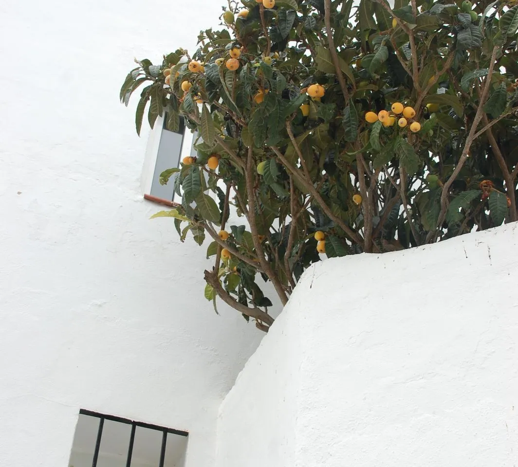 59cb607d-ba02-4b53-b929-29c20ee932de