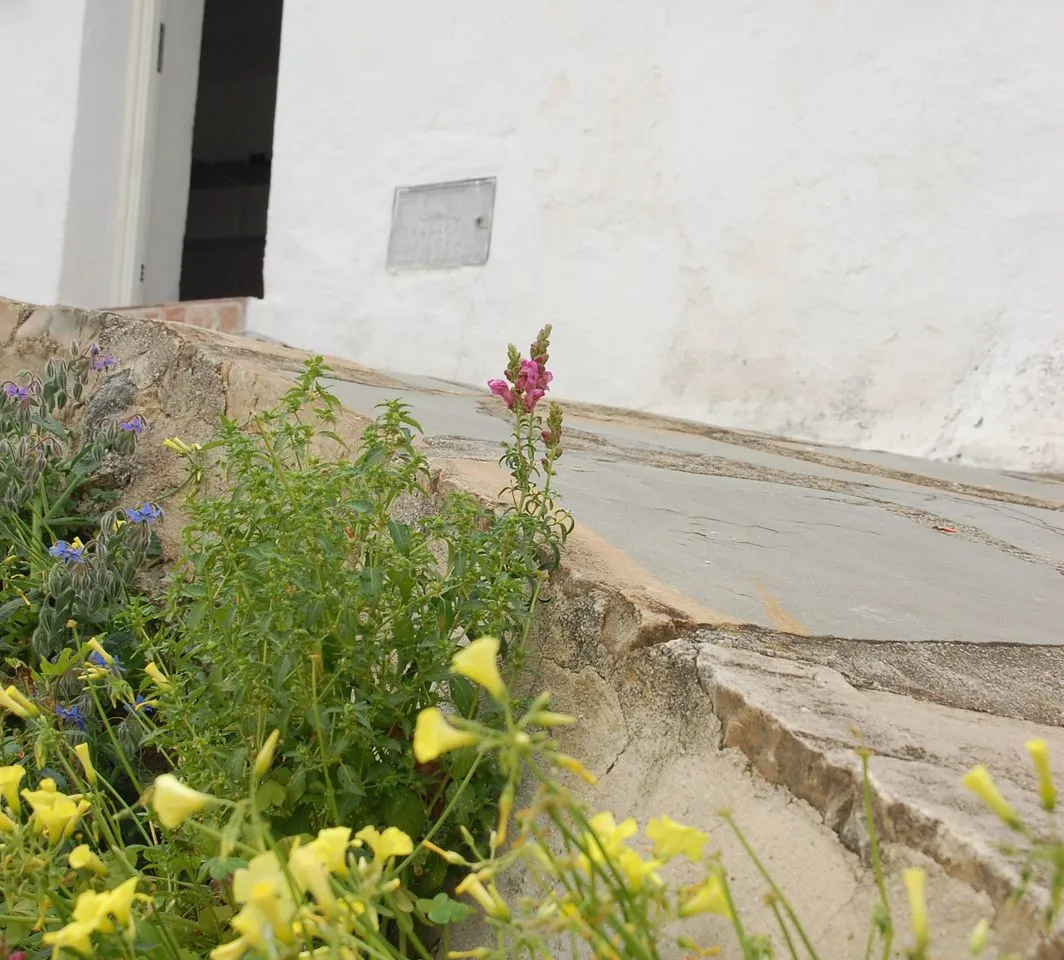 9a839f63-8fff-421f-aad1-7eb0b35edbda