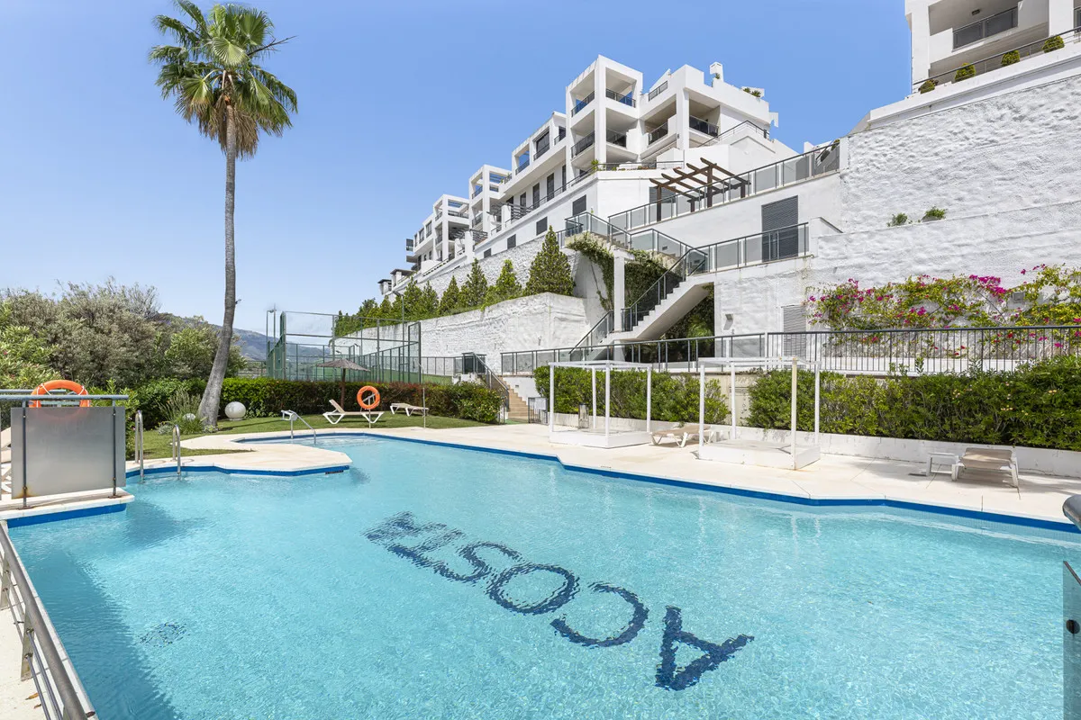 16b8e9db-f5f5-4771-81ff-2bca434a6aa7