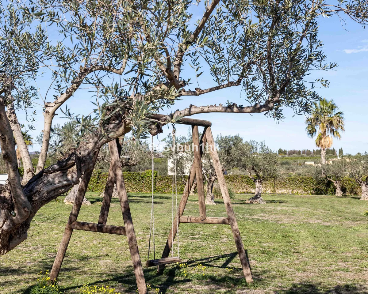 1db19893-59ee-4cf5-86c6-450f34e969fb