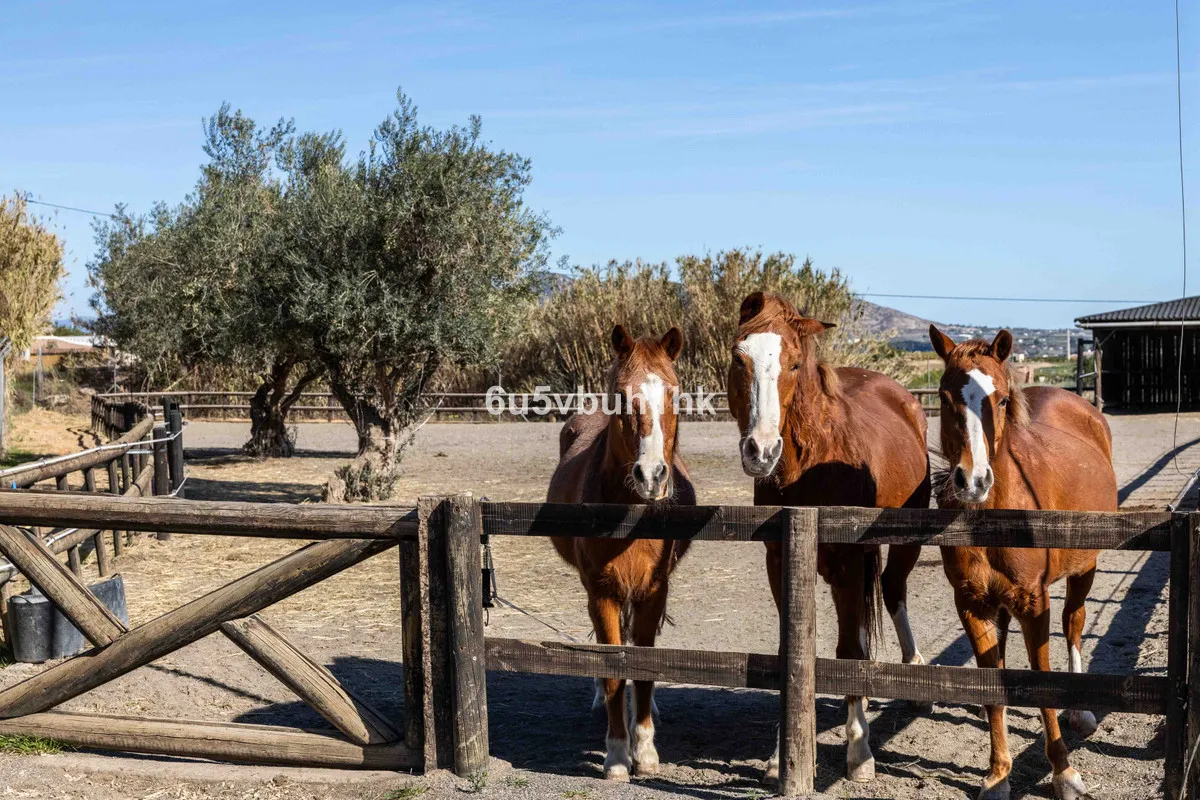 37ebccb1-f904-41c6-9e12-3f1ac3d2dac2