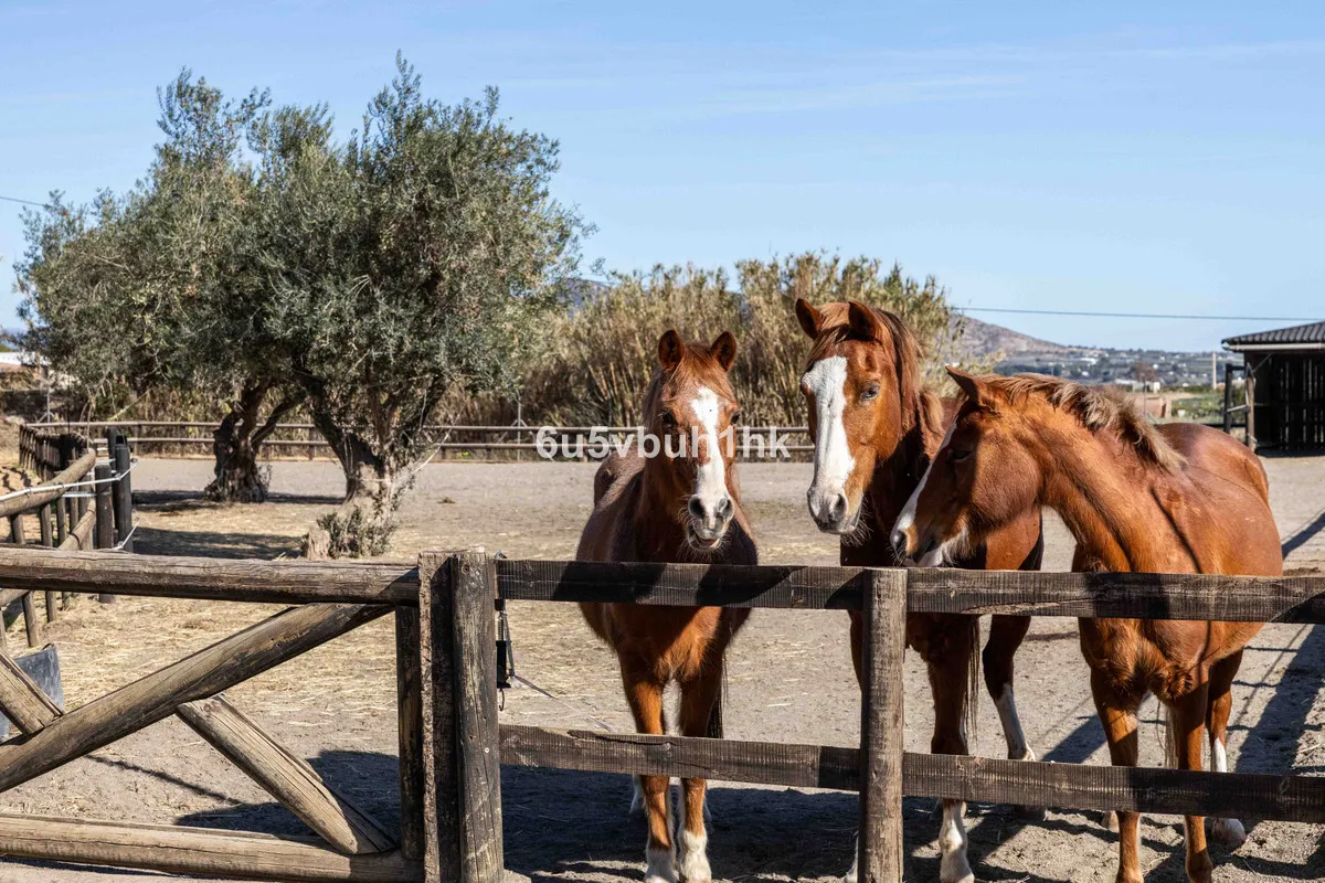 8101f682-5e03-4927-8e84-426abdb4b84f