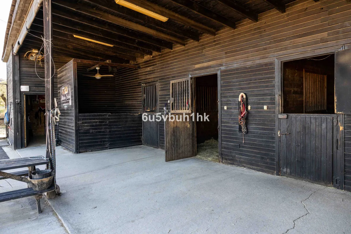 cf6df140-0891-4d51-8a33-c4ba030ffa5f