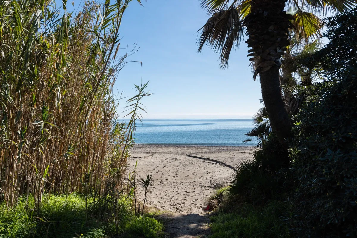 91d7ed0c-3de8-4d82-9305-8e08b1635e02