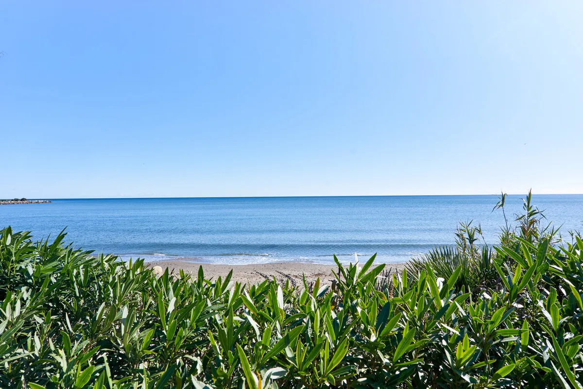 2d64f775-c172-4d3c-9aa4-ea9a246b7d30