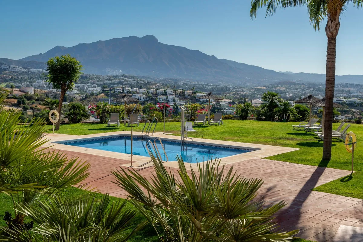 f5198c56-7e67-41e6-8253-ed91aaa9f5d8