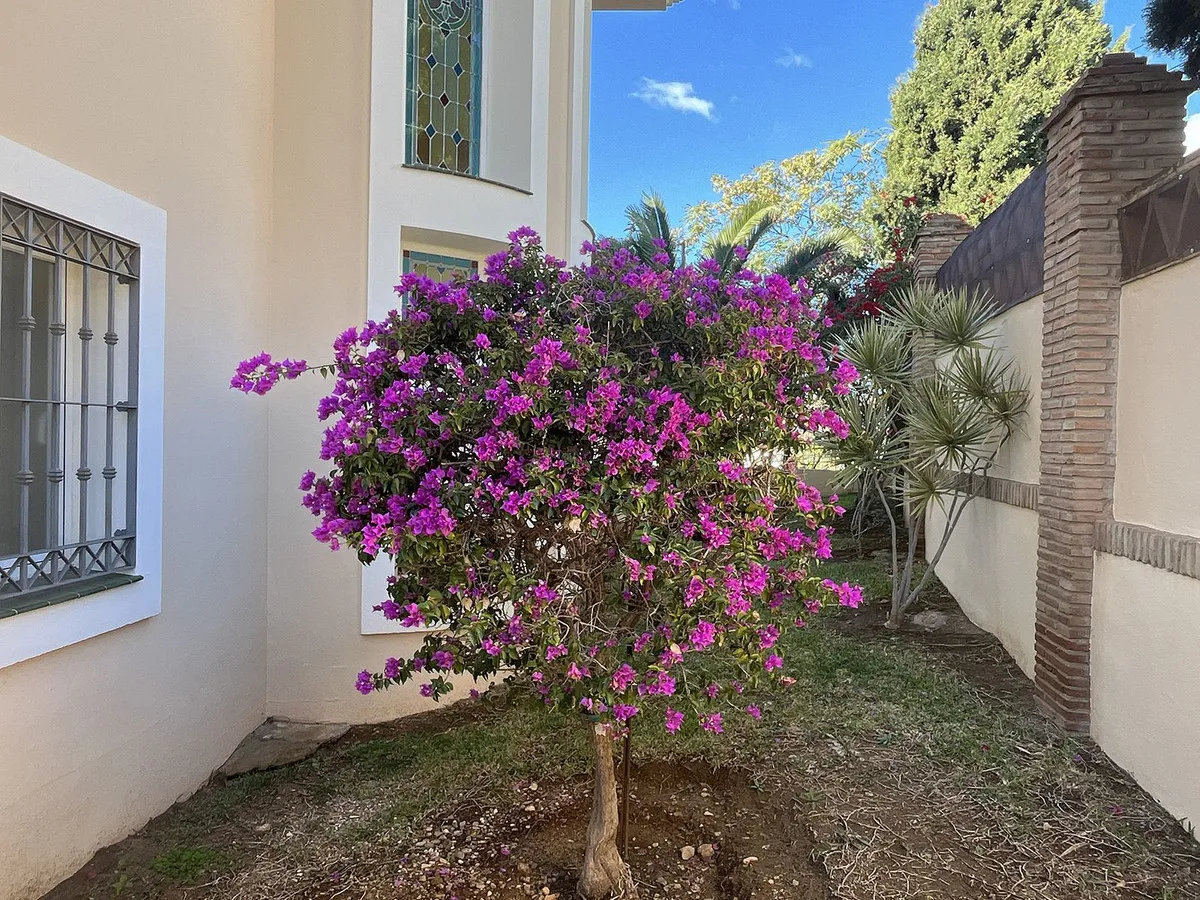 464dec7b-26ba-4b8f-a09f-db5d93eac45c