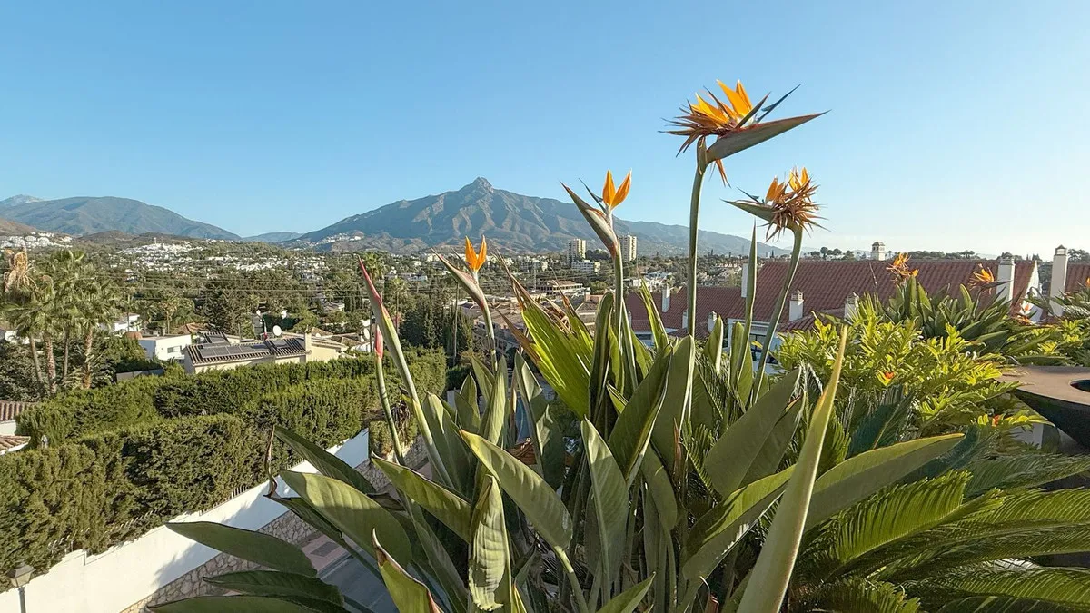 2af5f044-edca-446f-a65a-f260dbfa4a21