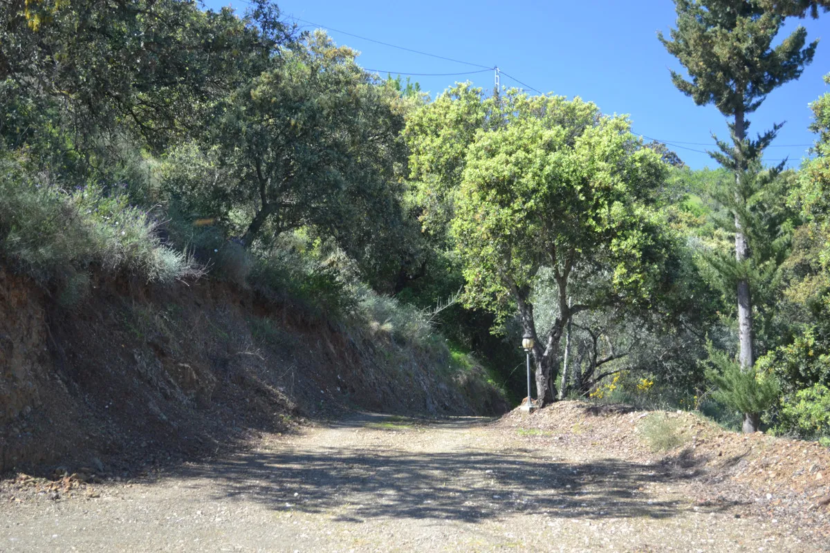 0bbd3fcd-2330-475f-8f8d-82d6d4fc0731