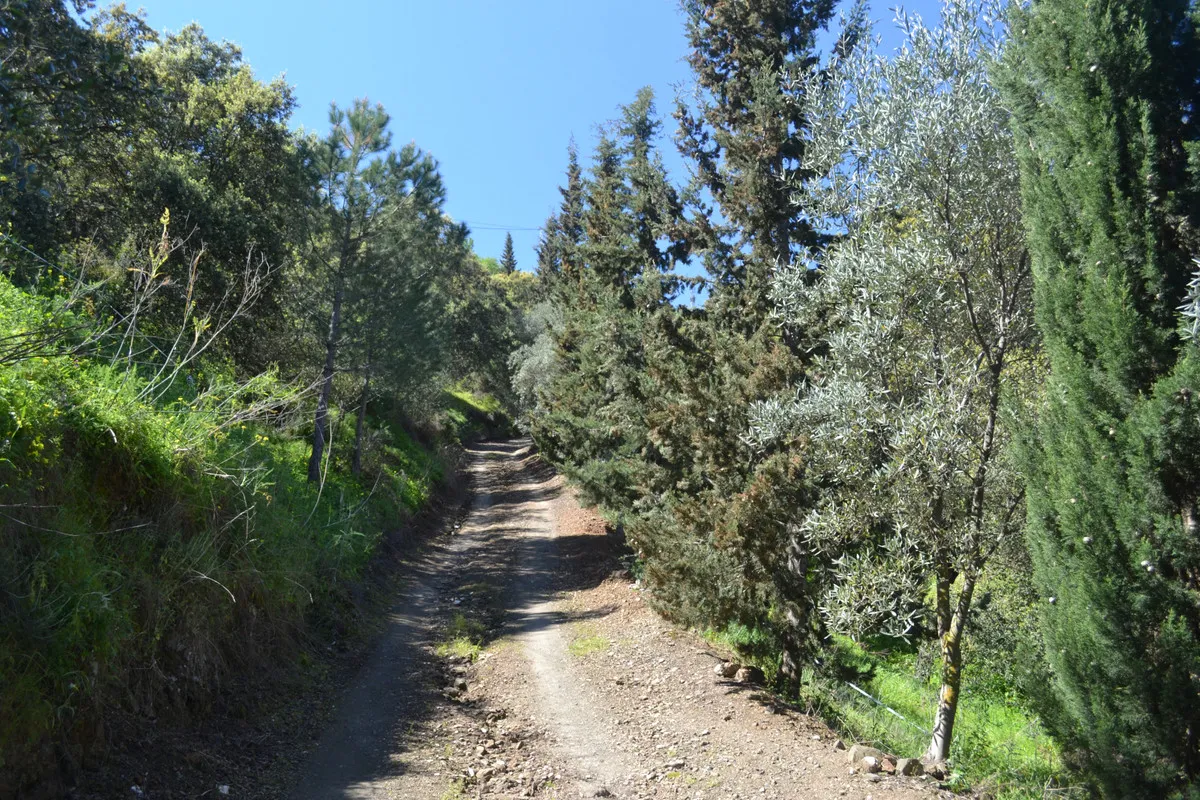 257987f3-074d-47ef-b4c3-43cd4ba883f7