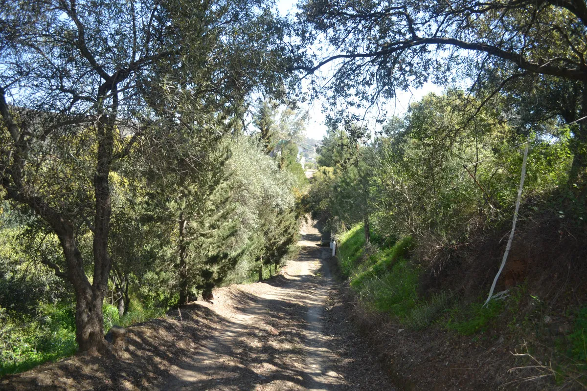 4173c4ee-440a-483b-8725-2985b98e5481