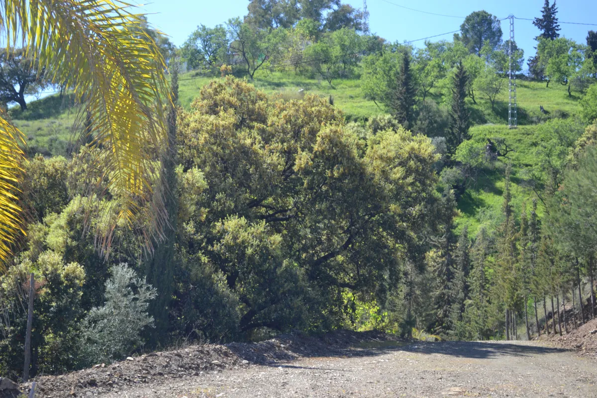 c06f477b-e23b-4448-96c3-274271c93a52