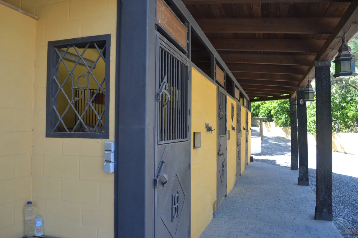 dbfe4227-2081-4246-bae7-a24974fd4401