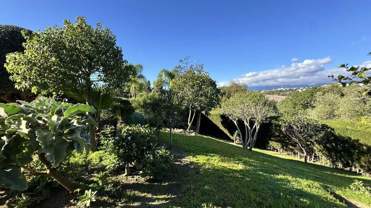 9ece2aae-105a-4ee4-80f2-8ecbb6f5e5f0