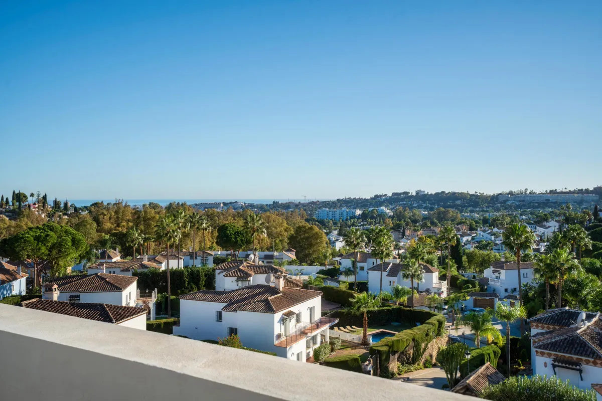 5d13431d-78a4-42dc-9902-7d45bd48bd00