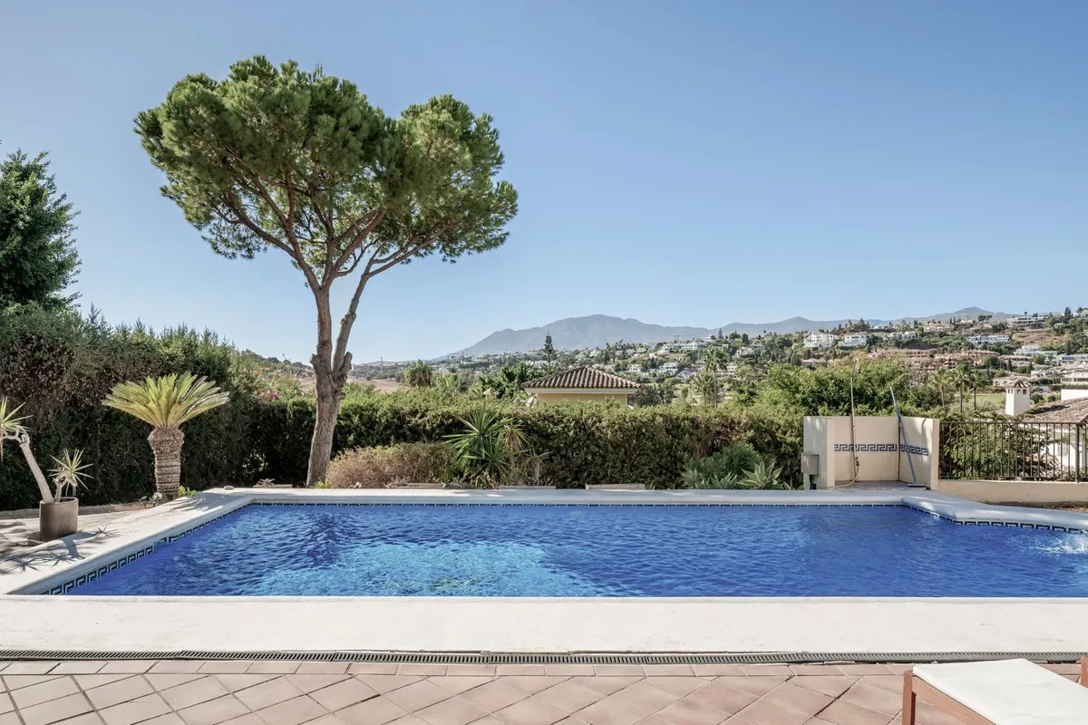 3c77a823-dbd1-413b-a6e8-b20d412f5a2f